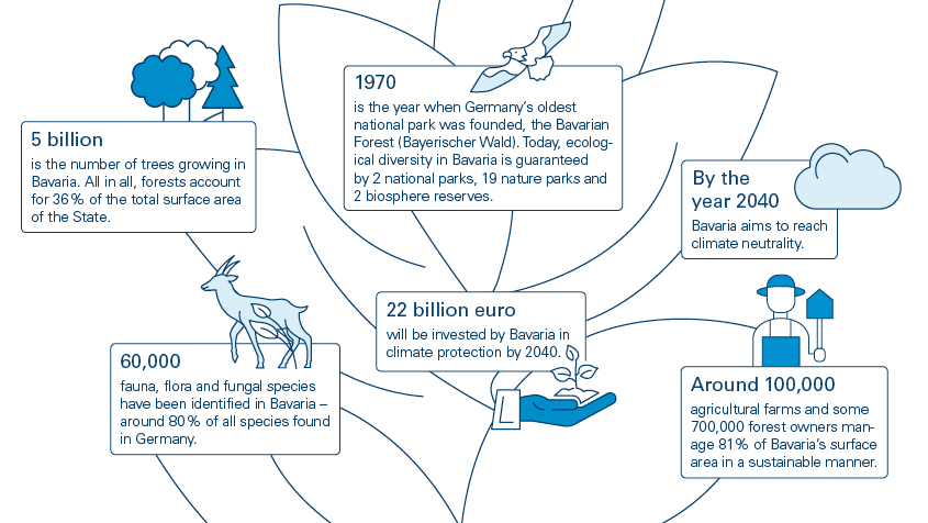 Forestry & Environment